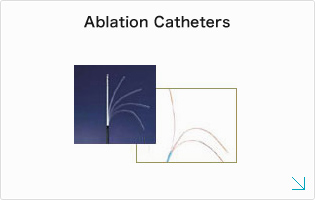 Ablation Catheters